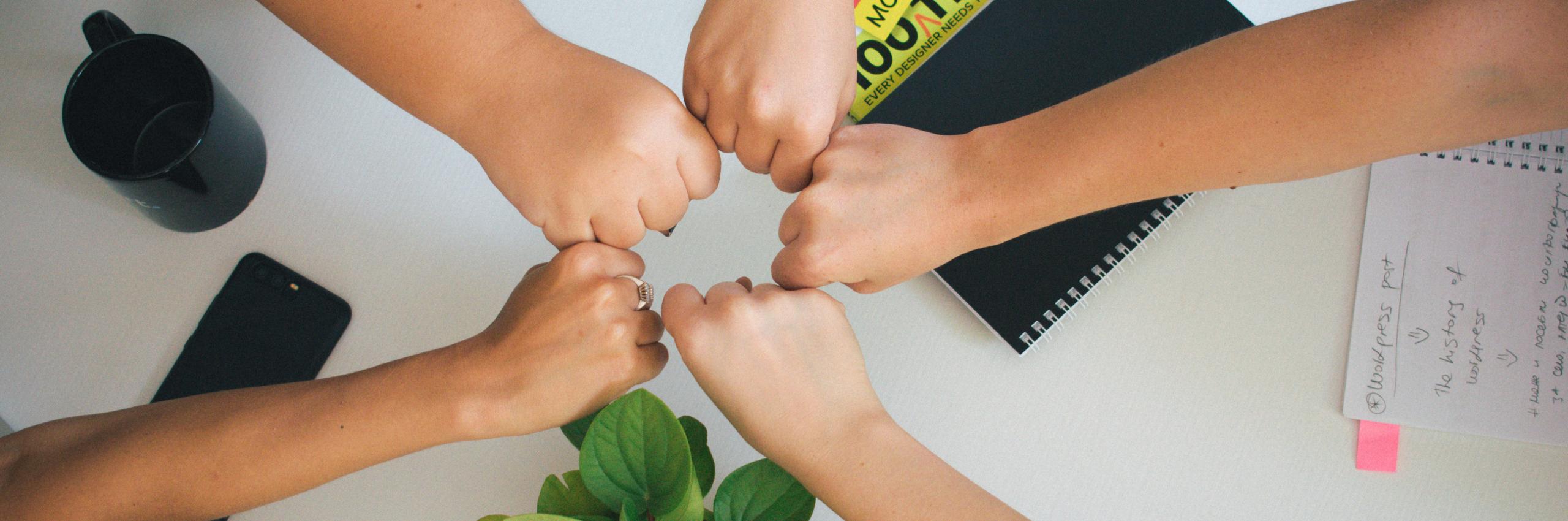 PROmoting Digital and Green Skills for Youth