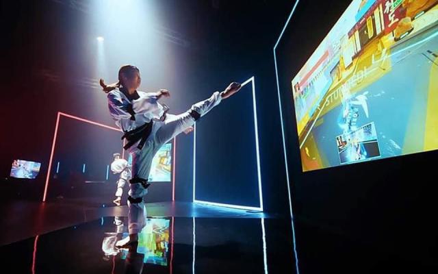 Virtual Taekwondo