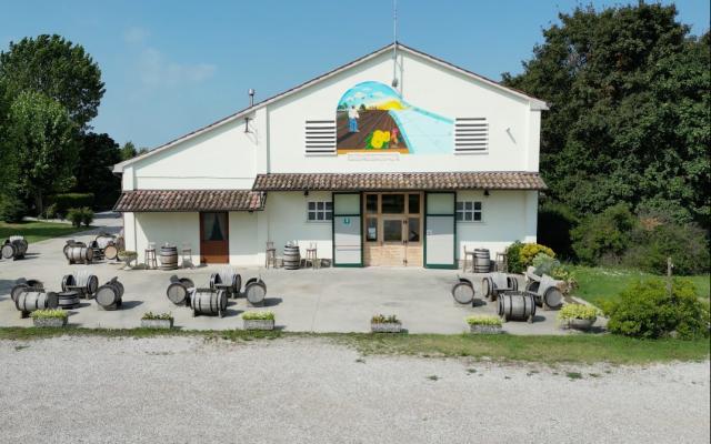 Intelligenze al femminile nell’IA: la storia di Roberta Curto, imprenditrice agricola