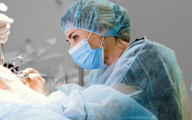 Intelligenze al femminile nell’IA: la storia di Valentina