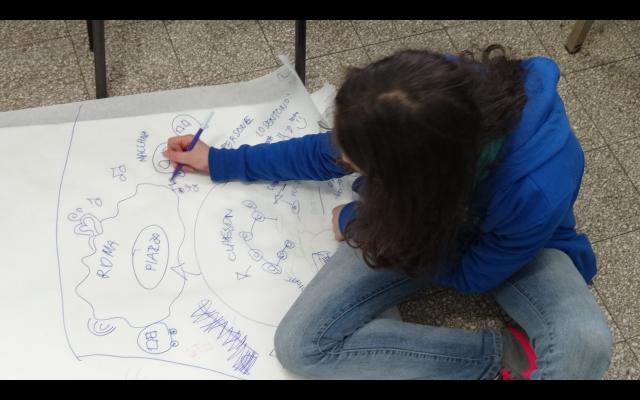 Carta, colori e idee innovative (24).JPG