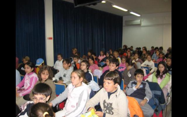 ST_07_1.jpg